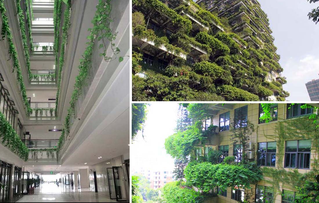 20180627214935905659.jpg 20180627214935905659.jpg