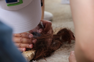 游艇会yth0008——凝心聚力，2019再创辉煌