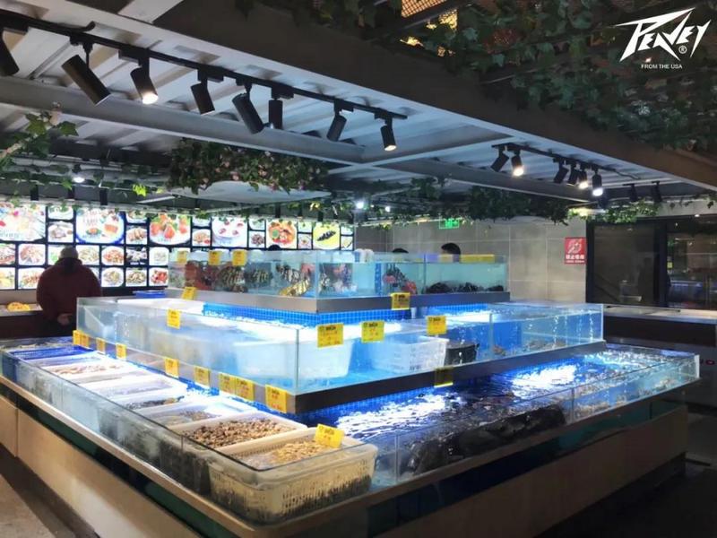 PEAVEY娱乐&上海浙鲜汇音乐餐吧 ,寻味魔都的浙江味 (3).jpg PEAVEY娱乐&上海浙鲜汇音乐餐吧 ,寻味魔都的浙江味 (3).jpg