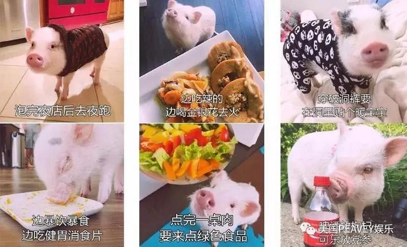 美国PEAVEY娱乐联手魔都--乾宫定义养生新方式 (2).jpg 美国PEAVEY娱乐联手魔都--乾宫定义养生新方式 (2).jpg