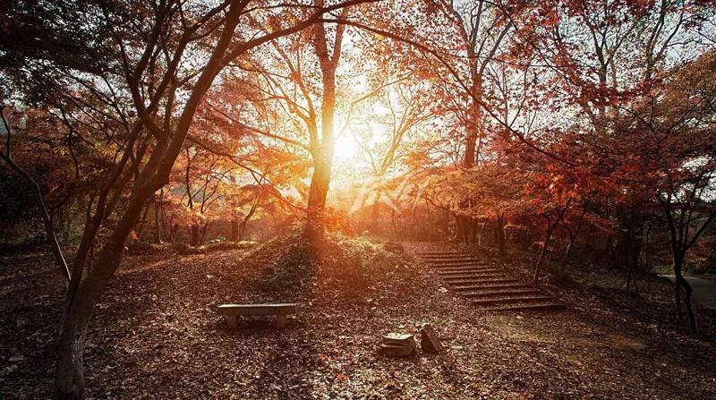 美国PEAVEY娱乐&哈尔滨唐会MR.K,感恩遇见,余生尽是真诚! (1).jpg 美国PEAVEY娱乐&哈尔滨唐会MR.K,感恩遇见,余生尽是真诚! (1).jpg