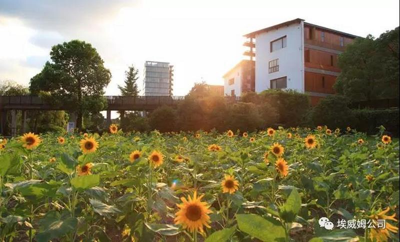 KV2优质扩声,尽显艺术魅力——中国美术学院项目 (7).jpg KV2优质扩声,尽显艺术魅力——中国美术学院项目 (7).jpg